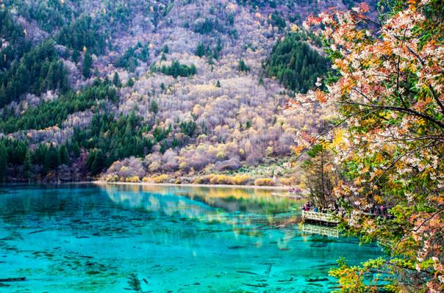 武汉到北京旅游团有哪些景点免费,武汉到贵州旅游团纯玩团