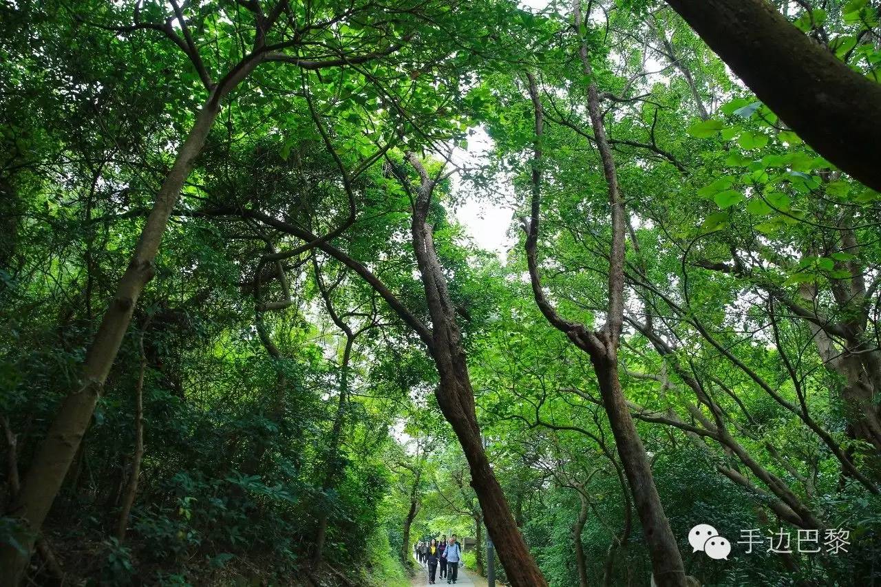 香港最全游玩路线推荐图,香港旅游全攻略地图