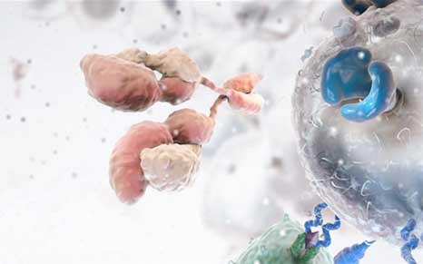 naturereviews鏈熷垔,naturereviews褰卞搷鍥犲瓙