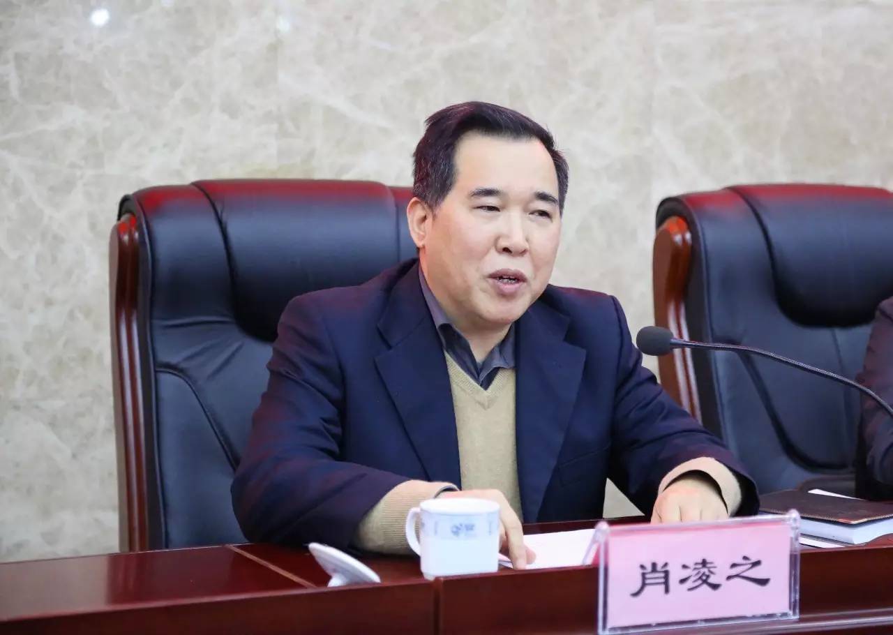 台长当会长啦，金鹰卡通卫视助力“动漫湘军”~