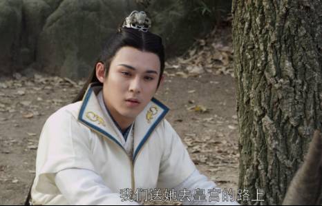 兰陵王宇文邕深情,兰陵王宇文邕情种