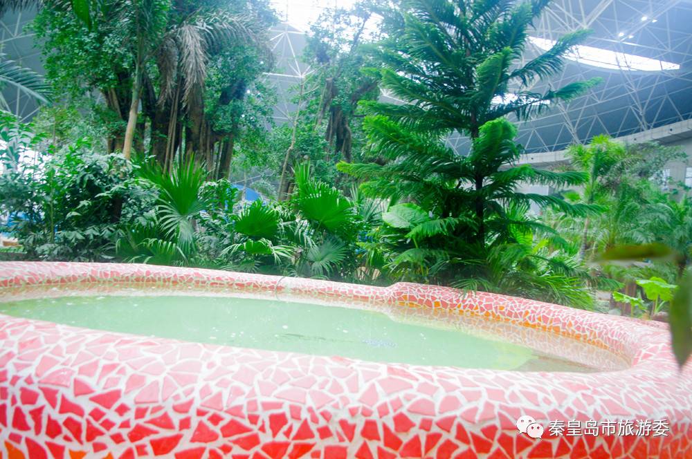 没有泡温泉的冬天没有灵魂,没泡过温泉