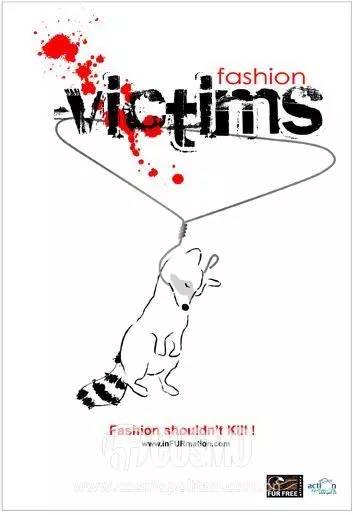 比雪地靴还好的鞋,canadagoose哪款是鹅绒