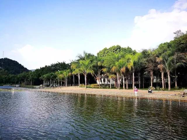 人工沙滩柳州,柳州金沙角人工海滩