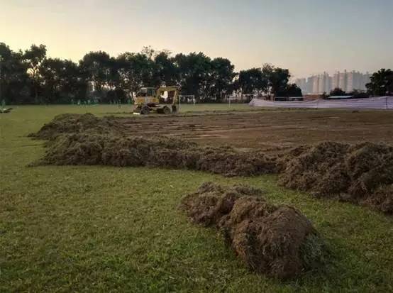 训练基地乱杀,训练基地怎么搞超体