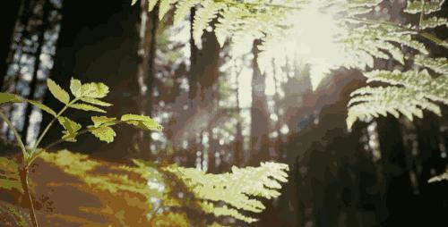 pantone2019年流行色都有什么,pantone2023流行色英文视频