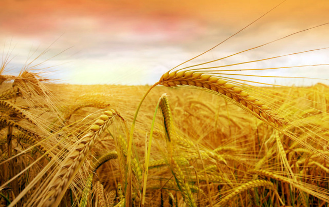 五虎上将霸气团战,五虎上将霸气合集