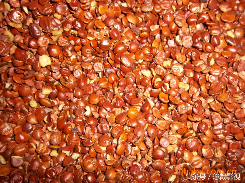 睡觉打呼噜的食疗方法很受用的