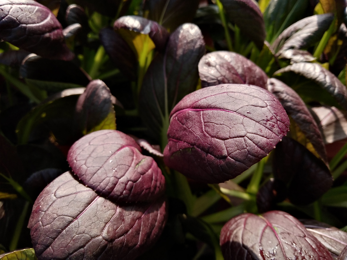 一秒提升华为流畅度,手机测评华为畅享6s