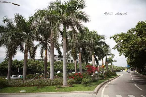 没雾霾适合生活的城市,没有雾霾