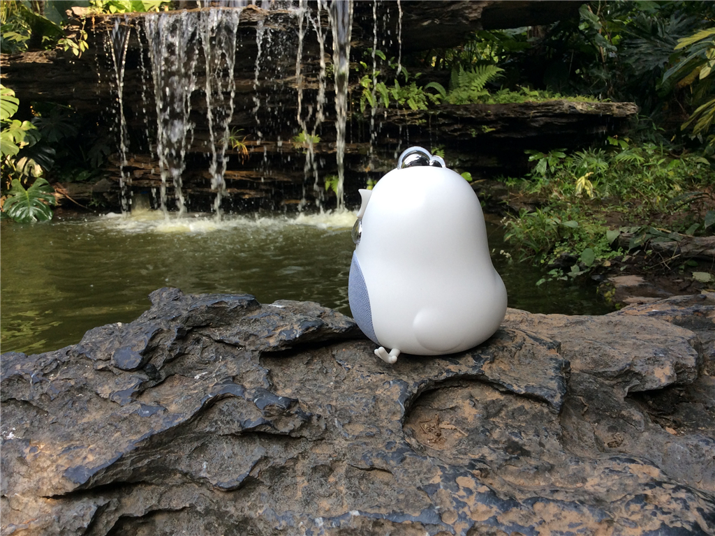 幻响小吉音箱,幻响小吉音箱拆解视频