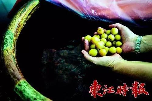 下个月就过年了吃什么,下个月就要过年你准备好了吗