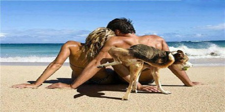 青春是一双白色球鞋,青春是一双鞋