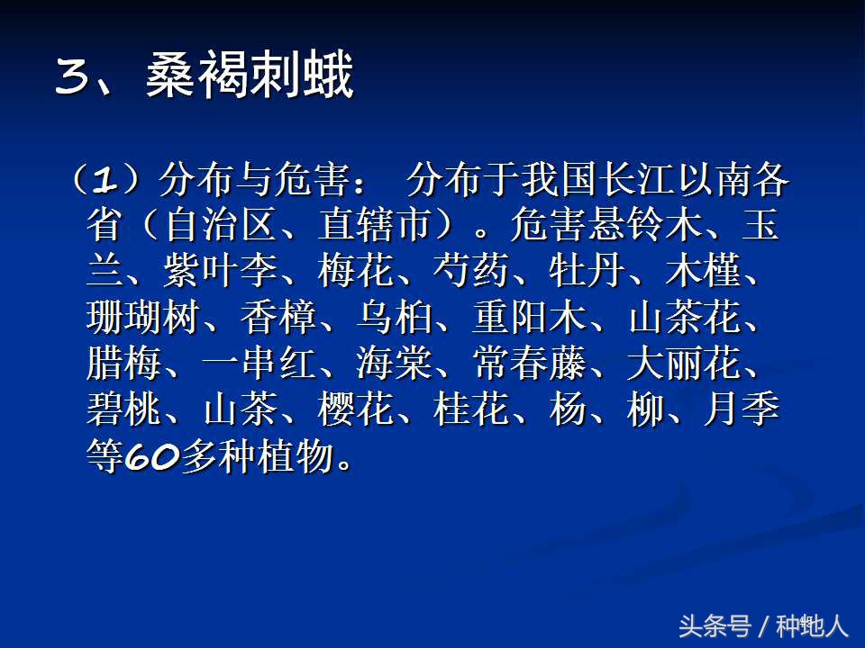 会吃叶子的虫子有哪些,哪些虫子爱吃树叶虫