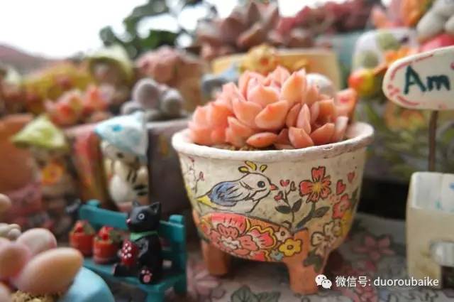 太实用了!图解多肉的配土及用药!