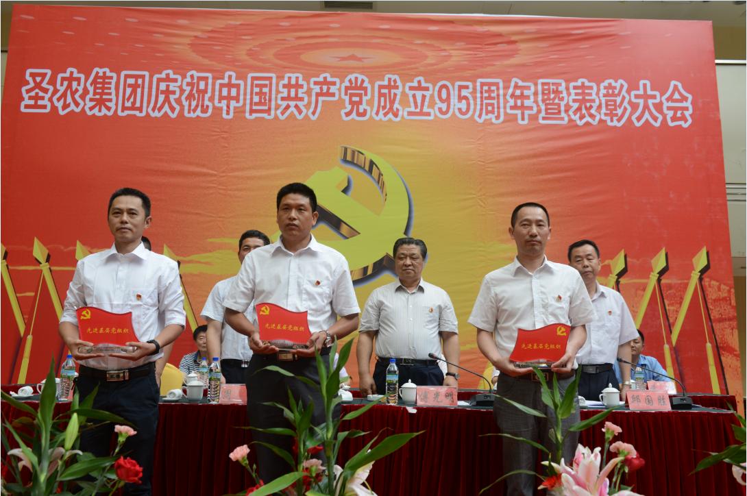 商海竞潮闽江秀一腔热血报桑梓