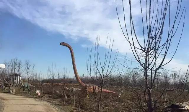 12月23号开幕啦!冰雪奇缘圣诞狂欢!中西合璧庙会美食啥都有