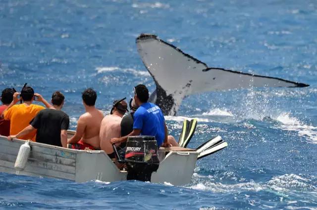 免签出境游推荐,春节海外免签旅游推荐