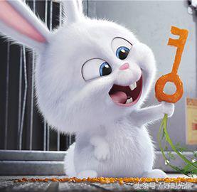 有哪些悬疑烧脑韩剧,最近烧脑的韩剧