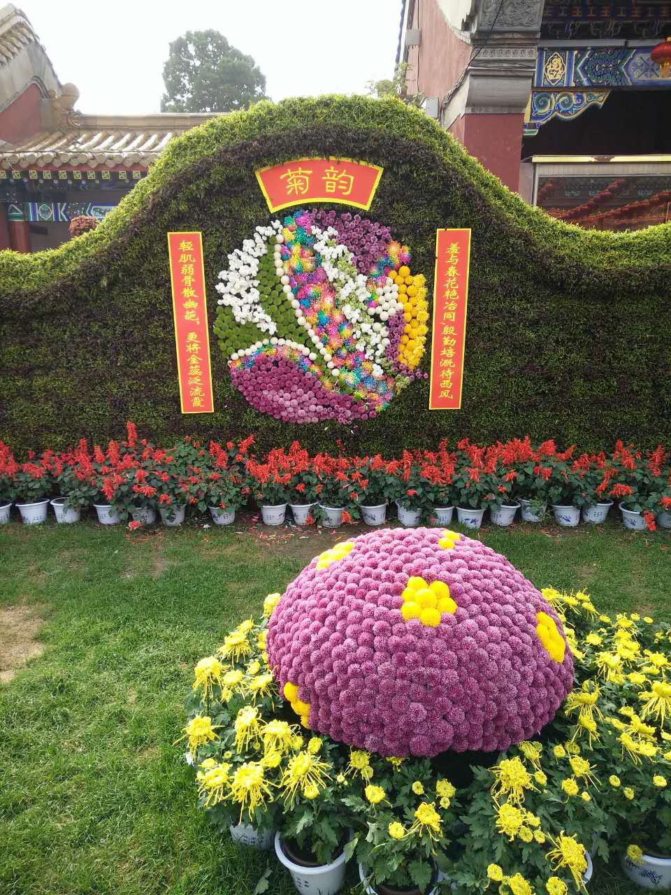 血压高糖尿病并发症中药方子最好,心绞痛高血压药