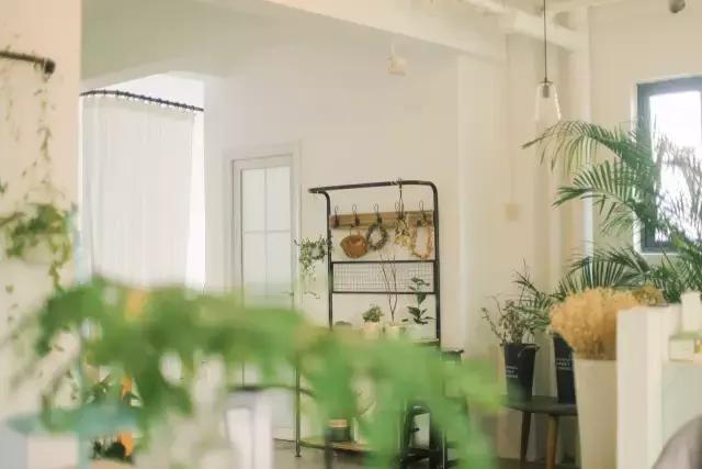 airbnb上订的民宿和房东一起住吗,airbnb十大最受欢迎住宿