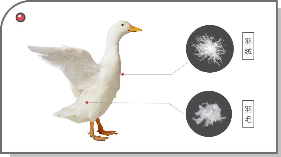 冬天除了穿羽绒服还穿什么最保暖,冬季羽绒服氛围感穿搭
