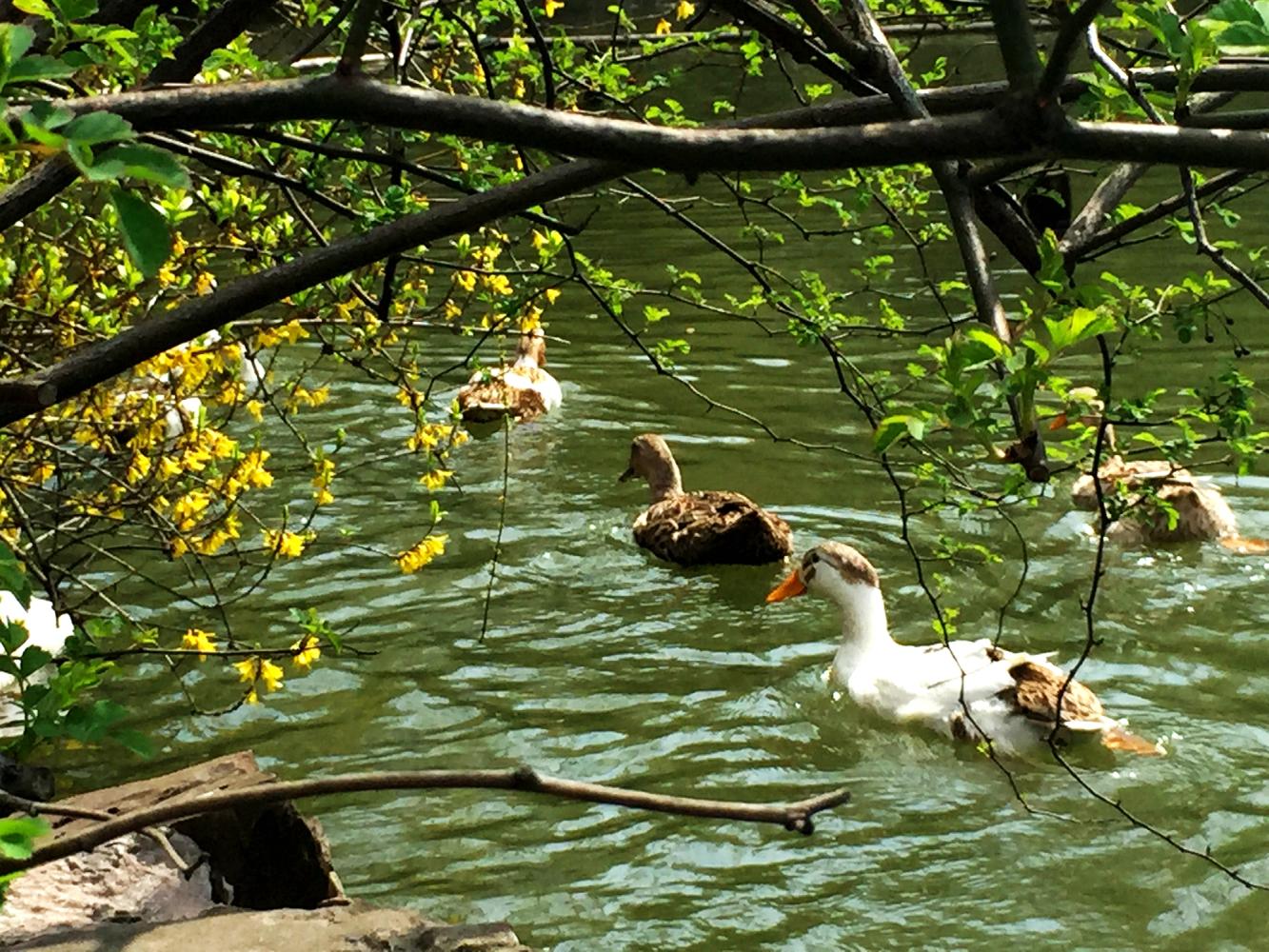 澶粨鍗楀洯鍘嗗彶鑳屾櫙,鍥捐澶粨鍘嗗彶