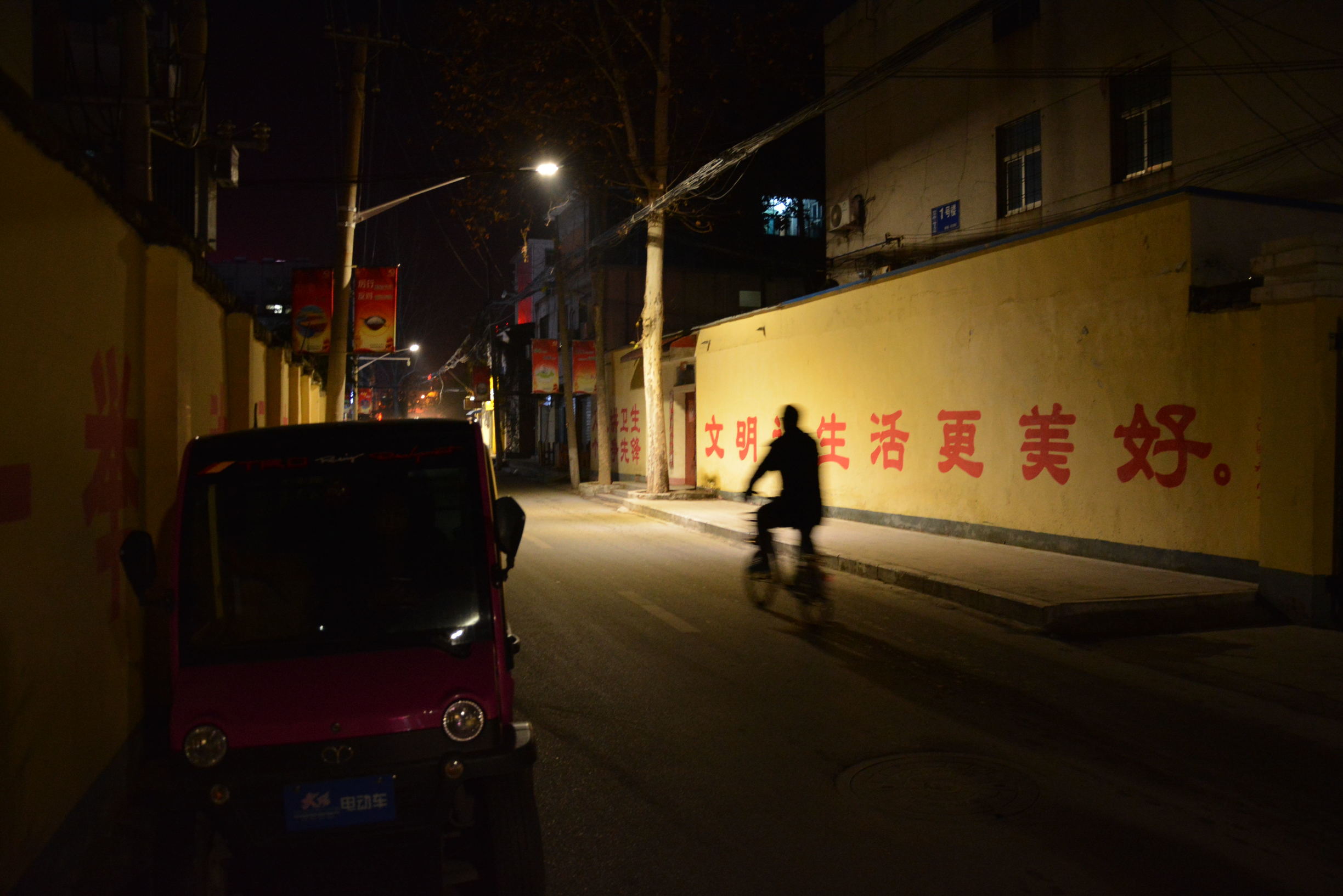 尼康D5200扫街,狗头基本够用