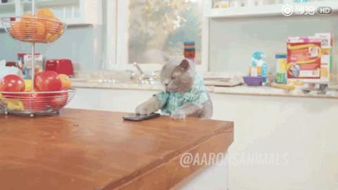 女朋友鄙视手势是什么意思,女友三个手势啥意思