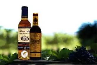 朱卫东葡萄酒教学视频,朱卫东谈红酒香味