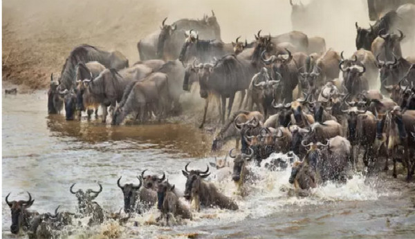 这些地方不会让你失望,生来平庸岂能甘于平凡