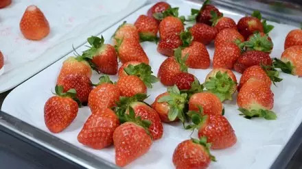 与你度过温暖的圣诞节,想和你一起过圣诞节