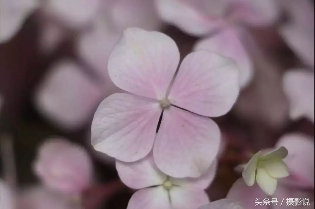 nisi耐司滤镜,nisi耐司滤镜钻石版