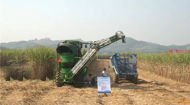 朱礼好讲座视频,朱礼好