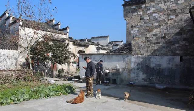 迷人的山水绘画,徽州特色烟雨江南画