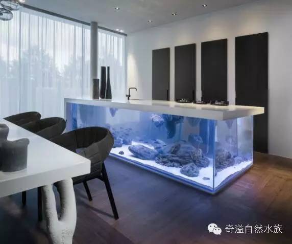 鱼缸摆放位置与属相,鱼缸的摆放位置以及风水影响