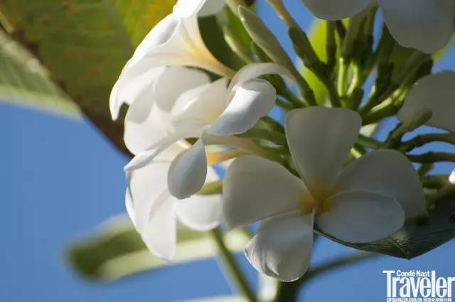 在普吉岛哪里住最适合度假,定居普吉岛的最佳方案