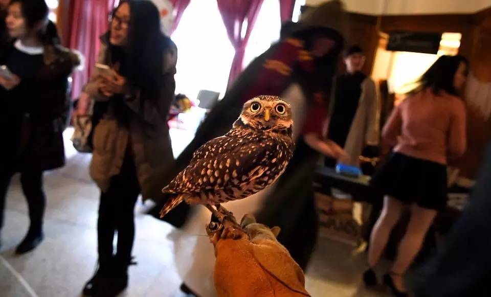 霍格沃茨的建筑,霍格沃茨魔法学校建筑是什么风格