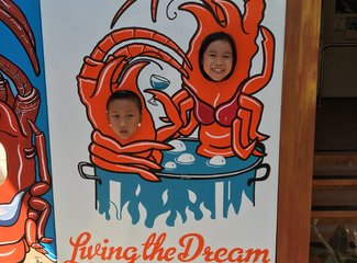 西澳珊瑚海岸3700公里自驾：卡尔巴里-猴子米娅-珊瑚湾-宁加洛珊瑚礁！