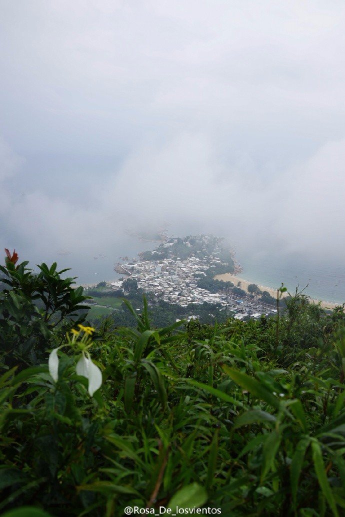 边吃边走的美食推荐,香港5日美食之旅搜罗各种美食