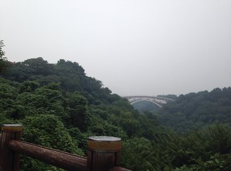 璇磋蛋灏辫蛋甯︿笂瀛欏コ鏃呰,璇磋蛋灏辫蛋甯﹀濡堝幓鏃呰