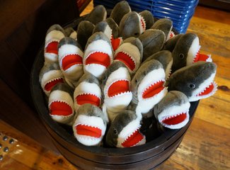 再入关西——现代的大阪，古典的京都