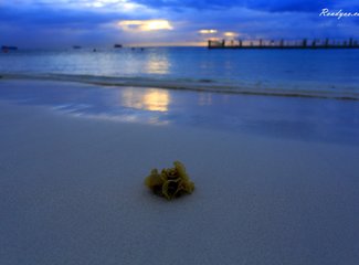 离天堂最近的地方张杰,离天堂最近的地方歌曲