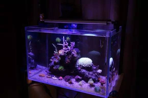 玩的真溜,三千玩出了三万的水平!