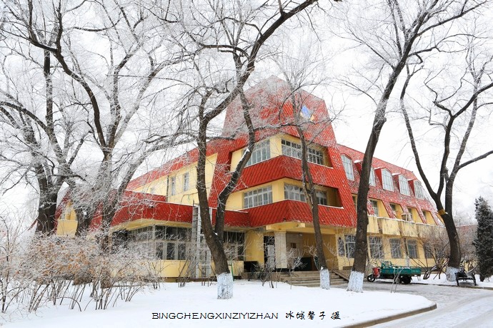 哈尔滨太阳岛的冬天照片,哈尔滨太阳岛的冬天有多美