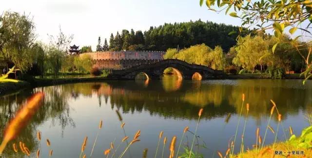 当新西兰的空气叫卖到699元每罐的时候,咱婺源人民不淡定了!