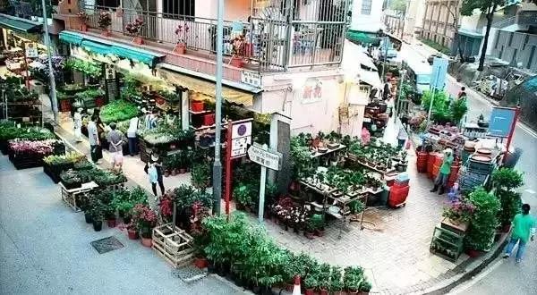 岁末2017,岁末将至今年又有什么新的遗憾呢