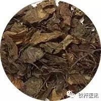 张学文讲丹参,大国医张学文验方集锦