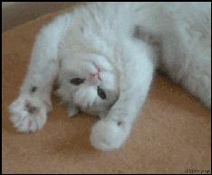 电影排行榜最新电影2016年,2016年好看电影推荐