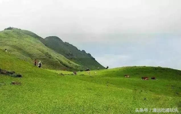 英德有多少个地方,英德最好的地方在哪里